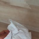 고릴라청소 이미지