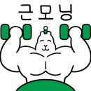 새로이 핏 이미지