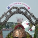 세갈래 이미지