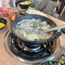 이월분 | 충주 맛집 : 시이월칼국수 삼구월고기냉면 내돈내산 후기