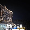 더비치(몽벨르)펜션 | 한화리조트 거제 벨버디어/캐릭터 객실(뽀로로)/고메이(푸드코트)/뽀로로 가든
