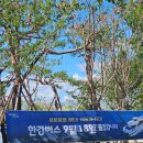 10살 아이와 한강버스 잠실 선착장 주말 방문 후기