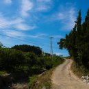 태원주유소 이미지