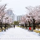 APEC나루공원2호 이미지