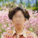 크로앙스 스튜디오 네이버블로그