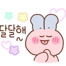 꼼무드헤어아산탕정점