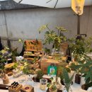 경찰대앞 교통섬(짬뽕집) | [여행] 가오슝 3박4일 여행(맛집 디저트 숙소추천)