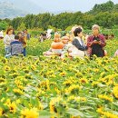 다래한우농장 이미지