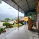 이작초등학교 이미지