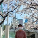 롯데월드공인중개사사무소 이미지