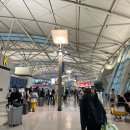 [뉴욕여행] 여자 혼자 11박 12일 자유여행 경비 및 코스 추천_Day1 : 출국 및 아시아나항공 탑승 후기