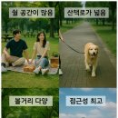 뽕나무길 이미지