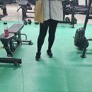 하비부종관리(legpill) 레그필 내돈내산 3개월 시작...날 (before) 브로멜라인 마이디데이 그 후의 기록