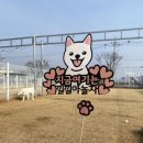 삼복이네수제간식