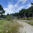 밀양초장집 이미지