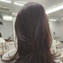긴머리 레이어드컷 허쉬컷 교대역 미용실 마네르 서초포레점 마루 원장님 대만족 후기