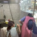 개이쁜냥 이미지