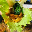 동산숯불갈비 - 청주시 흥덕구 1순환로501번길 6 | 동산숯불갈비
