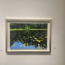 아름다운 동행전 | 제11회 모노그라프 동행전 관람 후기 – 인사동 갤러리 이즈에서 만난 아름다움_인사동전시_인사동갤러리