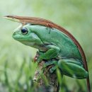 하단2동-2 이미지