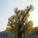 경동APT Daum카페