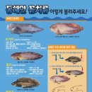 알마레레스토랑 이미지