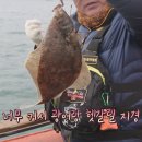 손맛