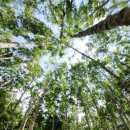 내린천 다락방 이미지