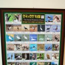 조류탐사과학관 이미지