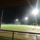 배나물야구장 이미지