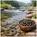 회령시장 | 길 헤매다 만난 양평 맛집! 어부네집 자연산 올갱이국 내돈내산 솔직 후기