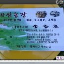 김성곤농장 이미지