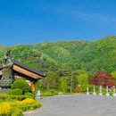 와우정사 이미지