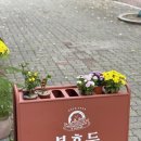 복호두 광주 상무점