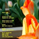 욕망으로부터 이미지