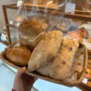 수원-0704 | [수원/세류동] 내돈내산 치아바타 맛집 "느긋한 제빵소"