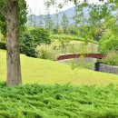 순천만국가정원 이미지