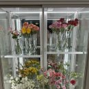 한아름 유치원 | 순천 꽃집 오천지구 앤의 정원 M사이즈 꽃다발 픽업 후기