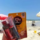 뚜벅이 1박2일 제주도 여행 / 한림, 애월 / 에어비앤비 숙소 및 음식점 추천/ 준비물 및 비용