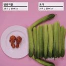 핏24점핑