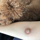 신기한속내과연합의원 이미지