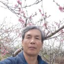 봄꽃농장 이미지