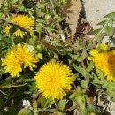 보은의 집 이미지