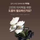 한국장례문화원 - 창원시 마산합포구 고운로 133 | 한국장례문화원