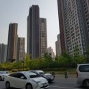 탑프라자약국 이미지