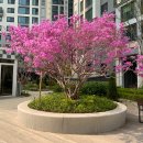 그래그래 듀엣 챌린지 당첨 - 인생 썰 하나 적어보기 ( 신님의 옷자락 끝 ) 이미지