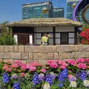 엠지테라피 | 2026 고양국제꽃박람회 가보자고 👊