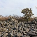 영남알프스 신불재 억새_신불산 삼봉능선 단조봉 &#39;24.10.1 (화)