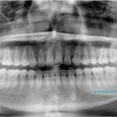 김영재치과의원 이미지