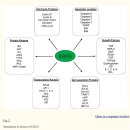 Re:Dietary derived compounds in cancer chemoprevention - 녹차 카테킨, 다불포화지방산, 카로티노이드, 이소티오시안염, 비타민 D, 엽산, 칼슘, 셀레늄 이미지